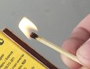 Лисички и спички: как пожары убивают обитателей лесов