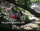 Кто виноват? В Челнах в 23-м комплексе на машину упало дерево