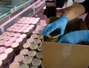 Бойцам СВО отправят полтысячи банок тушенки