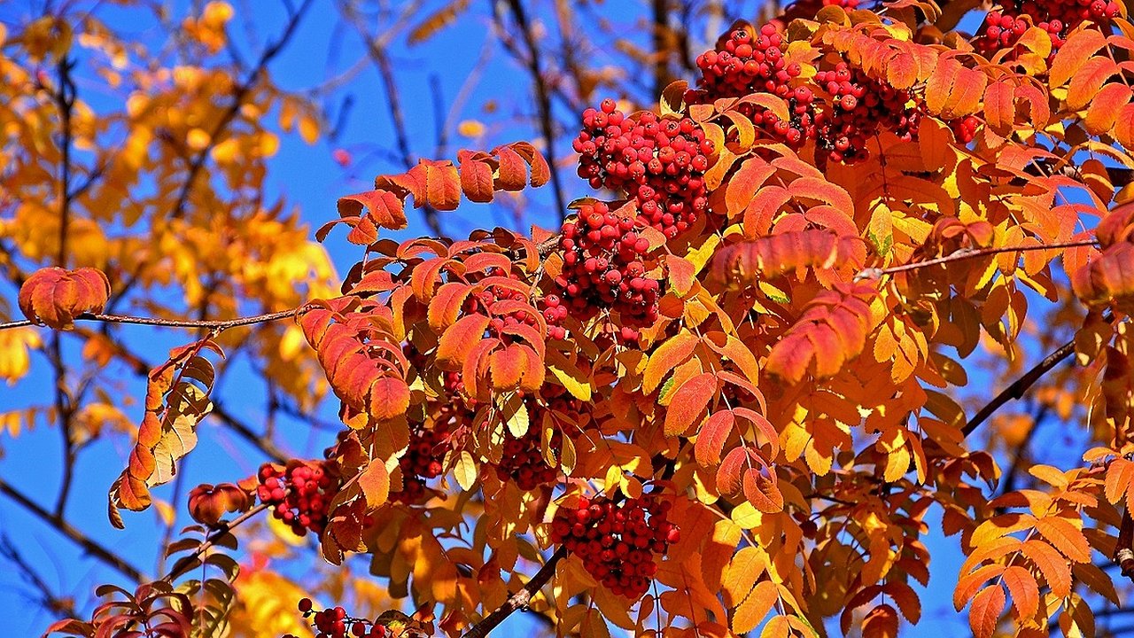 Главная картинка новости: В Челнах станет на один сквер больше