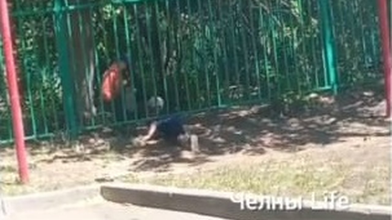 Главная картинка новости: Без присмотра: в Челнах в садике дети гуляют за забором