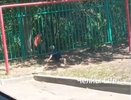 Без присмотра: в Челнах в садике дети гуляют за забором