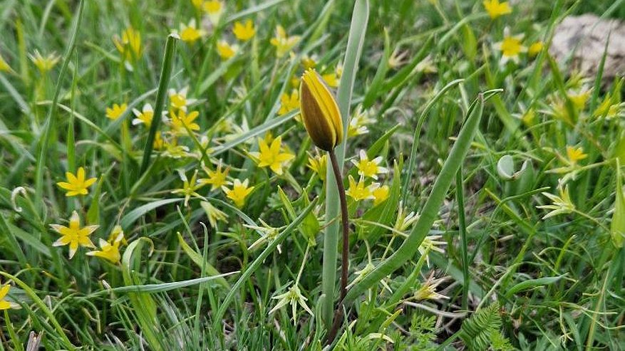 Главная картинка новости: Выходные в Челнах: куда пойти 22 и 23 марта