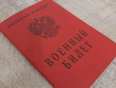 Мобилизованному предоставили отсрочку исполнения наказания на полгода