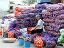 В Челнах организуют две ярмарки