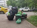 Под Челнами планируют построить комплекс по переработке отходов