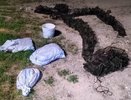 600 раков выловил браконьер в Мензелинском районе