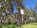 Из-за жары в Татарстане запретили ходить в лес