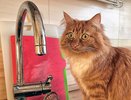 Сегодня в Челнах отключат горячую воду