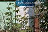 Миниатюра новости: Жителей Челнов призывают узаконить собственность, изымаемую под Московский проспект