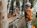 8 мест, куда свозить ребенка пообщаться с животными