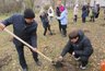 Миниатюра новости: К 90-летию первой школы Челнов высадили 180 деревьев
