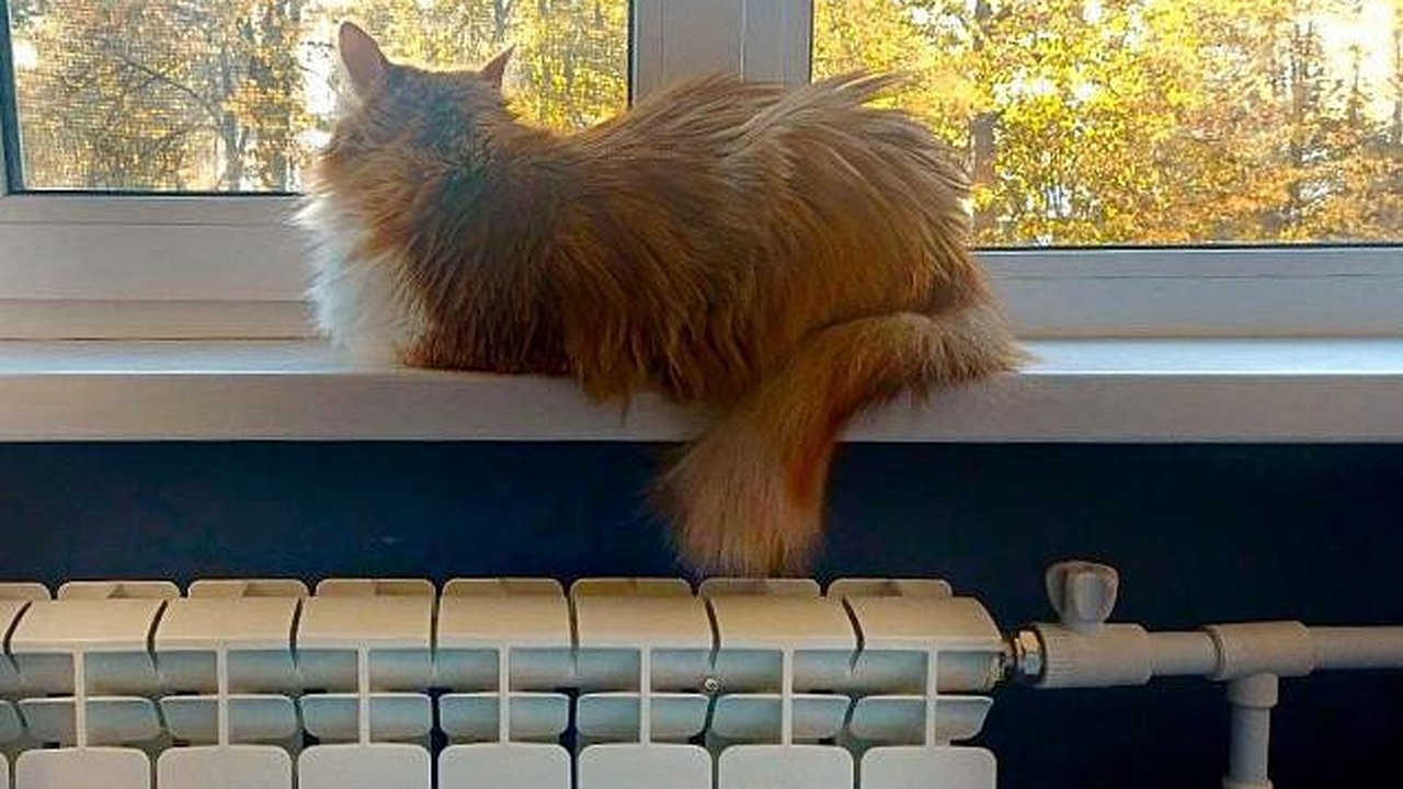 Главная картинка новости: Магдеев рассказал, когда в Челнах отключат отопление