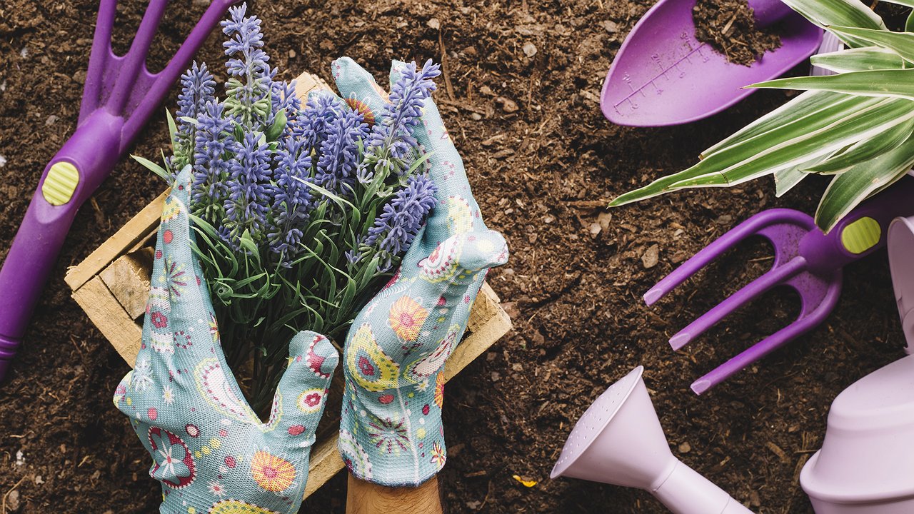Главная картинка новости: Садоводческие товарищества Набережных Челнов