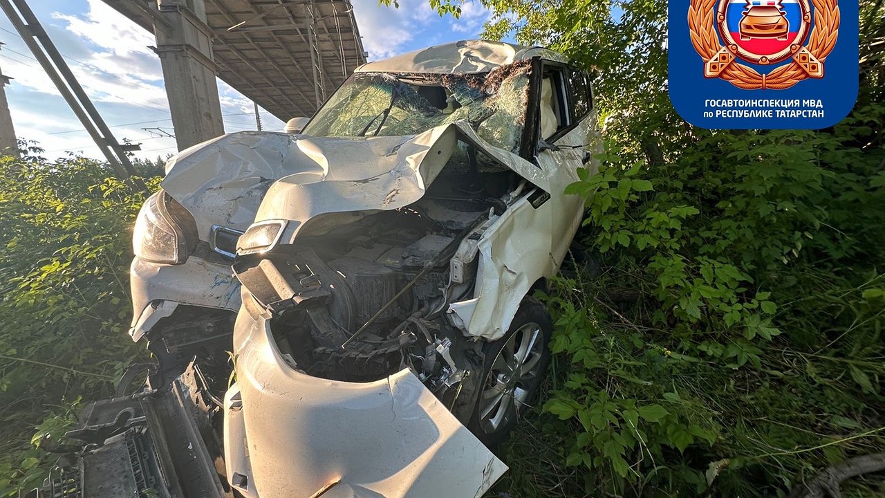 Главная картинка новости: В Нижнекамске сбили лося - животное погибло