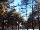Парки и скверы Набережных Челнов