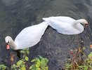 Менделеевск победил в конкурсе моногородов России