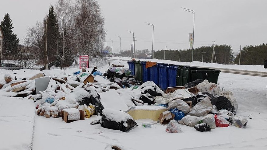 Главная картинка новости: В Елабуге по требованию экологов убрали свалку 