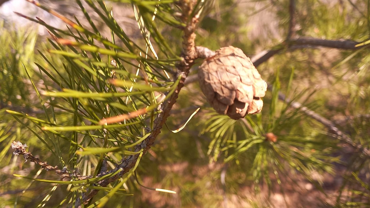 Главная картинка новости: И вновь весна! В Татарстане потеплеет до +19° С