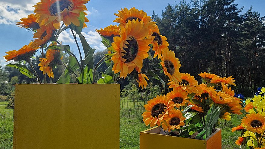 Главная картинка новости: Стала известна тема фестиваля цветов в Челнах в 2025 году