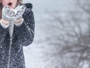 Снег, гололедица, слабо-морозная погода