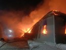 Задержана владелица агрофермы «Мир», в пожаре на которой погибли 6 человек