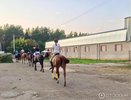 Целый ряд нарушений выявила Прокуратура в работе КСШ «Тулпар»
