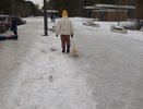 Мошенники, чтобы обдурить челнинцев, заманивают жертв при помощи животных и птиц
