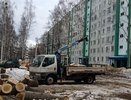 Салахов о спиле деревьев в Челнах: «Все проекты были согласованы»