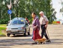 Госдума приняла закон о запрете пропаганды чайлдфри