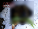 В Татарстане живодеры сделали шокирующие фотографии к 8 марта