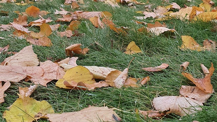 Главная картинка новости: В выходные в Татарстане похолодает до минус 10 градусов