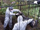 В Челнах следователь настаивал на эксгумации трупа 88-летней женщины