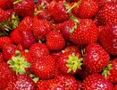 За год ягоды подорожали на 30-40%