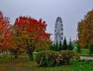 19 октября облачно, небольшой дождь 