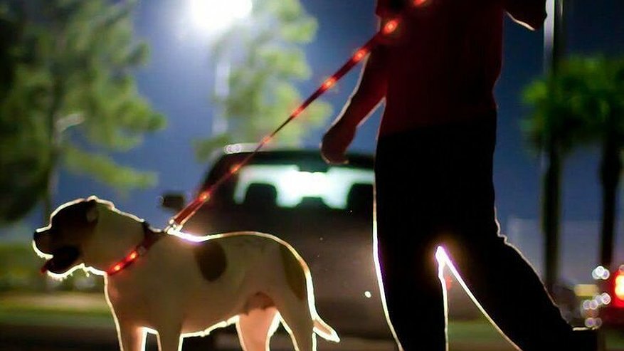 Главная картинка новости: В Татарстане мужчина, выгуливавший собаку, получил смертельный удар ножом