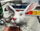 Следуй за Белым Кроликом: челнинец рассказал о необычном хобби