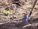 Чистый город: в Челнах субботникам зажгли зеленый свет