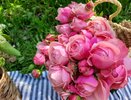 Небольшой дождь, температура +24°С