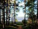 Выходные в Челнах: куда пойти 28 и 29 сентября