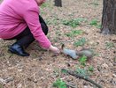 «Скоро зима, жить им негде, погибнут»