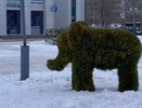 На Боровецком бульваре Челнов появились слоны и медведи из лапника