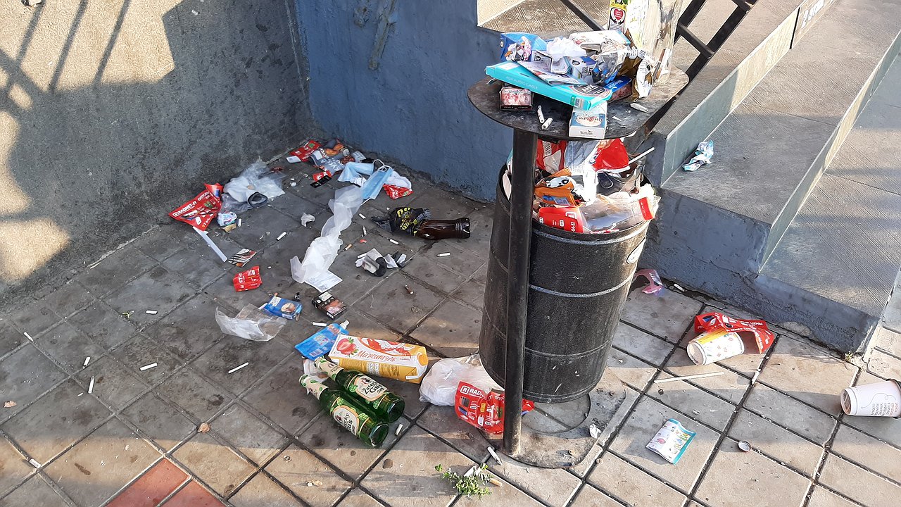 Главная картинка новости: «Свалка вдоль центрального проспекта в городе европейского формата»