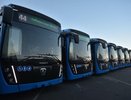 Новые автобусы вышли в Челнах на уже существующие маршруты