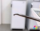 В Челнах в больницу 11 детей обратились с укусами клещей