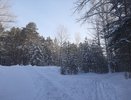Антициклон уходит: в выходные в Татарстане потеплеет