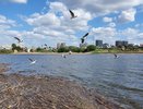 Экоповорот на водоемы: Челны направят больше миллиарда рублей на очистку рек