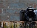 Лучшие фотокамеры согласно проверке Роскачества