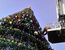 На новогоднюю елку в Челнах повесили украшения (фото)