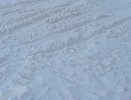 Дворы пос. Замелекесье утопают в снегу